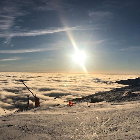 Apartman Luna Tale Chopok Jasna Juh Exteriör bild